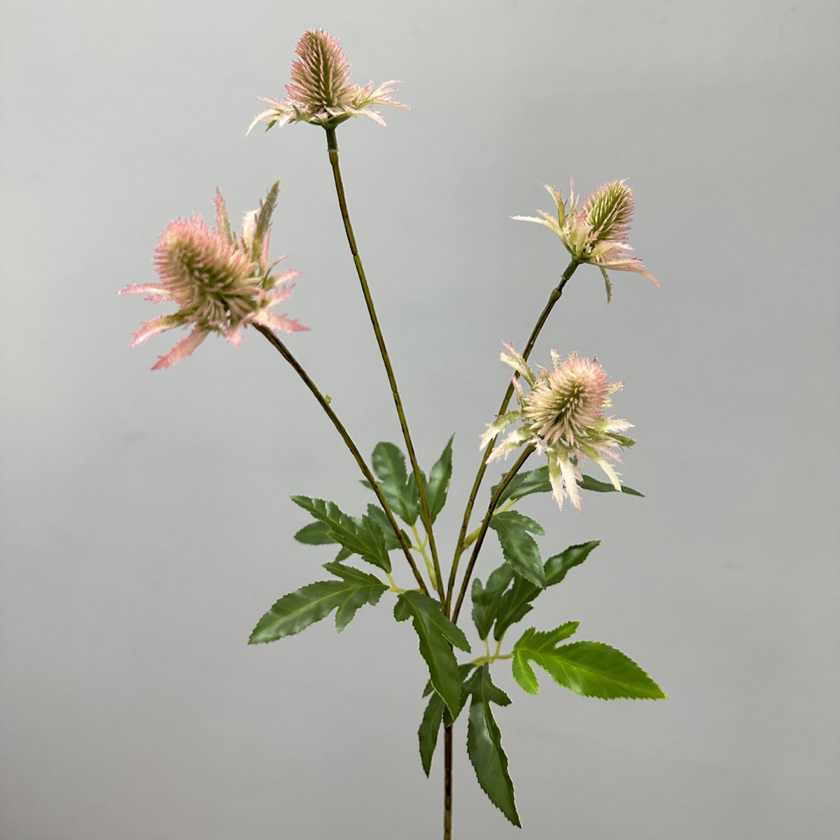 Fleurs Artificielles Buisson d'Eryngium Sauvage, 60 cm, Style Moderne Ins, Décoration Mariage et Maison