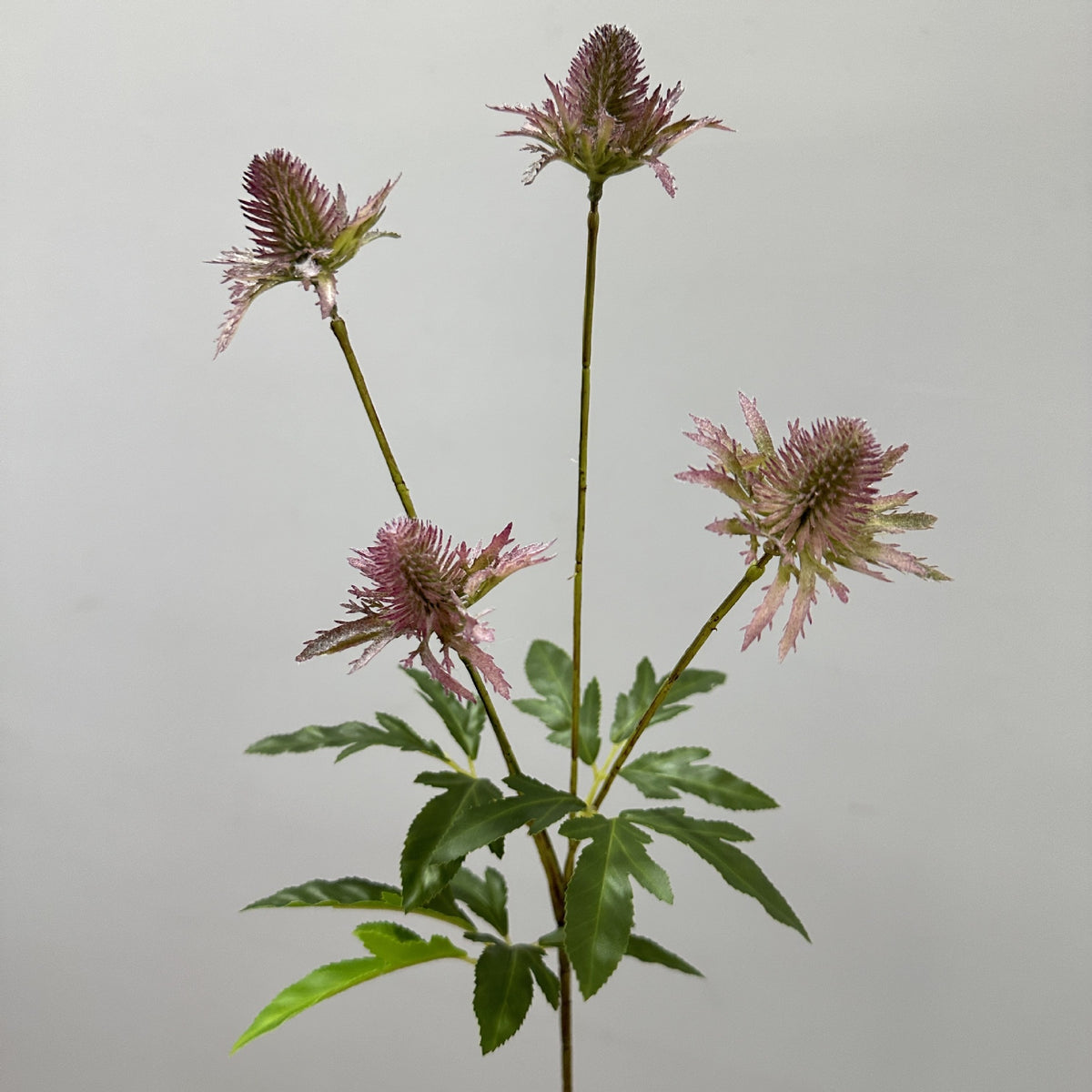Fleurs Artificielles Buisson d'Eryngium Sauvage, 60 cm, Style Moderne Ins, Décoration Mariage et Maison