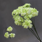 Fleurs artificielles élégantes pour mariage, bouquet de baisers de fée, décoration d'allée, 60 cm, 3 fleurs de 8 cm, sans vase