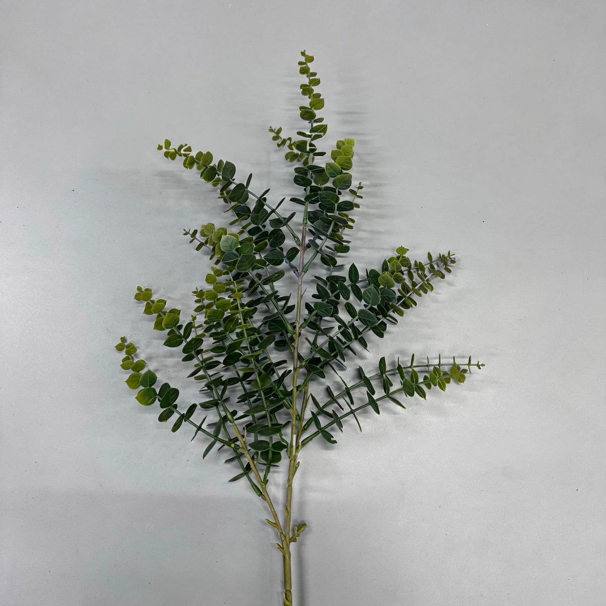 Branche d'eucalyptus artificiel 80 cm, décoration intérieure et extérieure, mariage, événements, cadeau