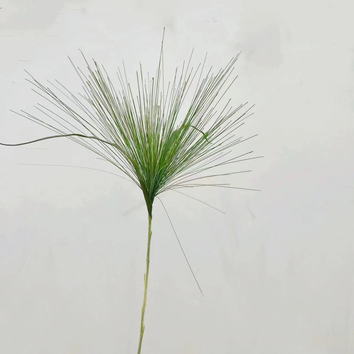 Herbe de fontaine artificielle, 92 cm, plante décorative intérieure et extérieure, idéale pour mariages, terrasses et commerces