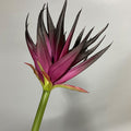 Fleur artificielle Phénix en latex, 85 cm, pour décoration intérieure et commerciale, trois couleurs disponibles