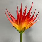 Fleur artificielle Phénix en latex, 85 cm, pour décoration intérieure et commerciale, trois couleurs disponibles