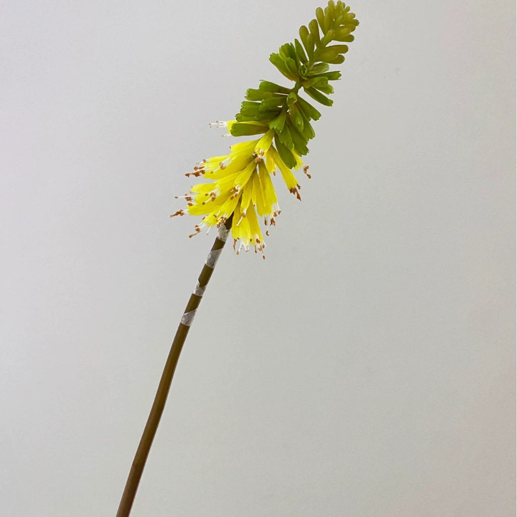 Fleur artificielle Lys Flambeau, 70 cm, décoration intérieure et événements, 5 couleurs disponibles