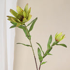 Fleur artificielle Protea, tige unique avec 2 fleurs, 72 cm, soie, décoration intérieure élégante, blanc, vert, jaune, rose