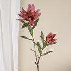 Fleur artificielle Protea, tige unique avec 2 fleurs, 72 cm, soie, décoration intérieure élégante, blanc, vert, jaune, rose