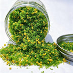 Poussière de Pollen Artificiel Mixte, 1-3 mm, 10 Couleurs, pour DIY et Décoration de Micro-paysages