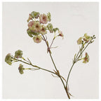 Fleur artificielle longue tige de Ipomée, décoration d'intérieur élégante, 83 cm, 21 fleurs, soie, idéale pour mariages, hôtels, cadeaux