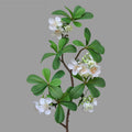 Fleur artificielle Pittosporum, tige unique avec 15 fleurs, 78 cm, tissu soyeux, décoration intérieure