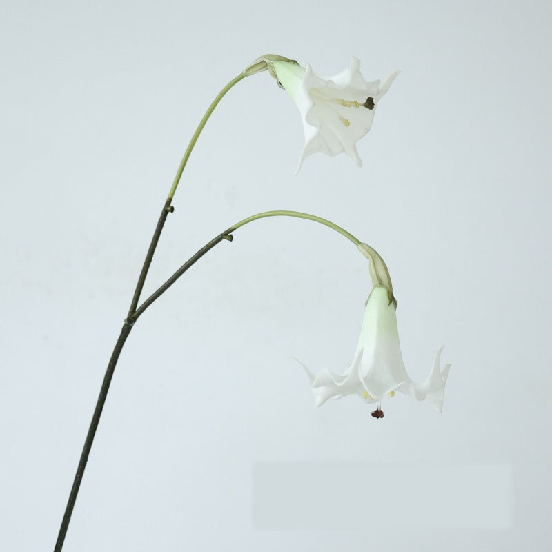 Fleur artificielle Datura, tige simple avec 2 fleurs en PU, 78 cm, décoration intérieure et extérieure, mariage, terrasse