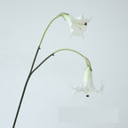 Fleur artificielle Datura, tige simple avec 2 fleurs en PU, 78 cm, décoration intérieure et extérieure, mariage, terrasse