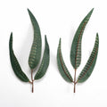 Feuilles de plume artificielles, lot de 10, 22 cm, pour décoration florale et événements