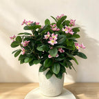 Fleurs artificielles de camélia, prunier, azalée et pêcher, bouquet de 62 cm, décoration intérieure