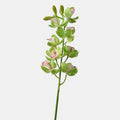 Orchidée papillon artificielle, tige unique avec 8 fleurs, 69 cm, décoration intérieure élégante