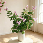 Bouquet de fleurs artificielles de bégonia, 36 fleurs, 100 cm, décoration d'intérieur, mariage, événements
