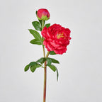 Bouquet de pivoines artificielles en soie 2 têtes, 66 cm, décoration intemporelle pour mariage, maison, bureau, vitrine commerciale