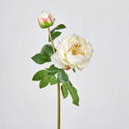 Bouquet de pivoines artificielles en soie 2 têtes, 66 cm, décoration intemporelle pour mariage, maison, bureau, vitrine commerciale