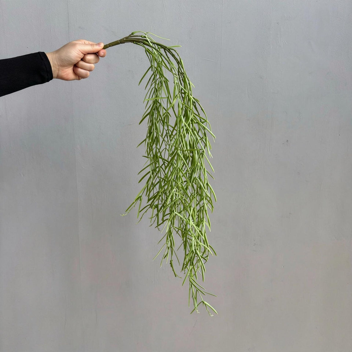 Plante artificielle suspendue Asparagus, décoration murale, 90 cm, style campagne, PE