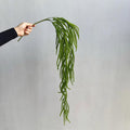 Plante artificielle suspendue Asparagus, décoration murale, 90 cm, style campagne, PE