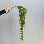 Plante artificielle suspendue Asparagus, décoration murale, 90 cm, style campagne, PE