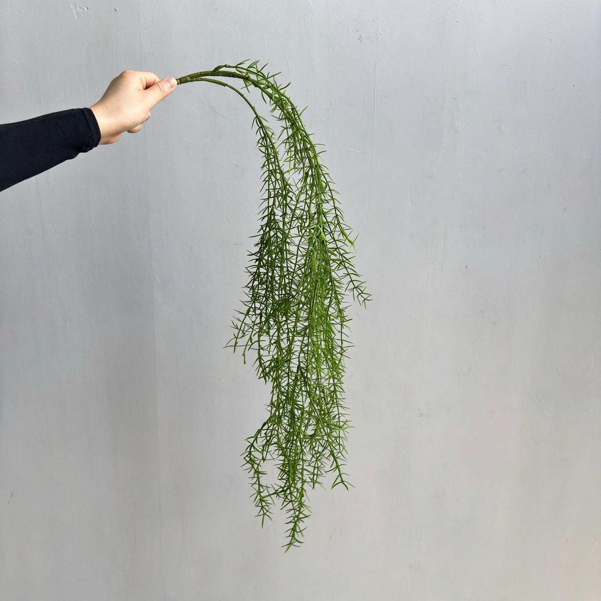 Plante artificielle suspendue Asparagus, décoration murale, 90 cm, style campagne, PE