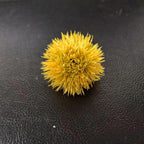 Fleurs artificielles en plastique, 10 pièces, bouquet d'hortensias, décoration intérieure, mariage, événements