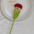 Bouquet de 10 œillets en tissu polyester, 35 cm de haut, idéal pour décoration intérieure et cadeaux