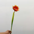 Tulipe Artificielle, Tige Unique de 69 cm, Décoration Élégante pour Maison, Mariage ou Espace Commercial
