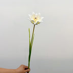 Tulipe Artificielle, Tige Unique de 69 cm, Décoration Élégante pour Maison, Mariage ou Espace Commercial