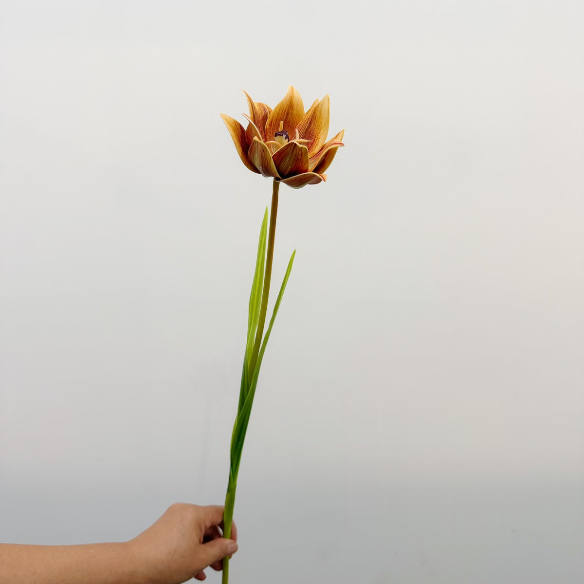 Tulipe Artificielle, Tige Unique de 69 cm, Décoration Élégante pour Maison, Mariage ou Espace Commercial
