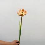 Tulipe Artificielle, Tige Unique de 69 cm, Décoration Élégante pour Maison, Mariage ou Espace Commercial