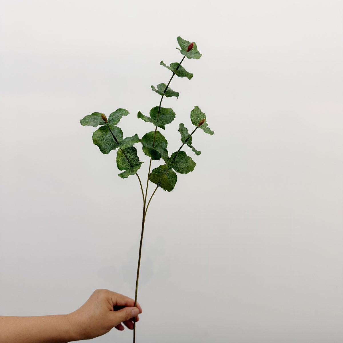 Branche d'eucalyptus artificielle de 65 cm, décoration élégante pour intérieur, mariage ou événement