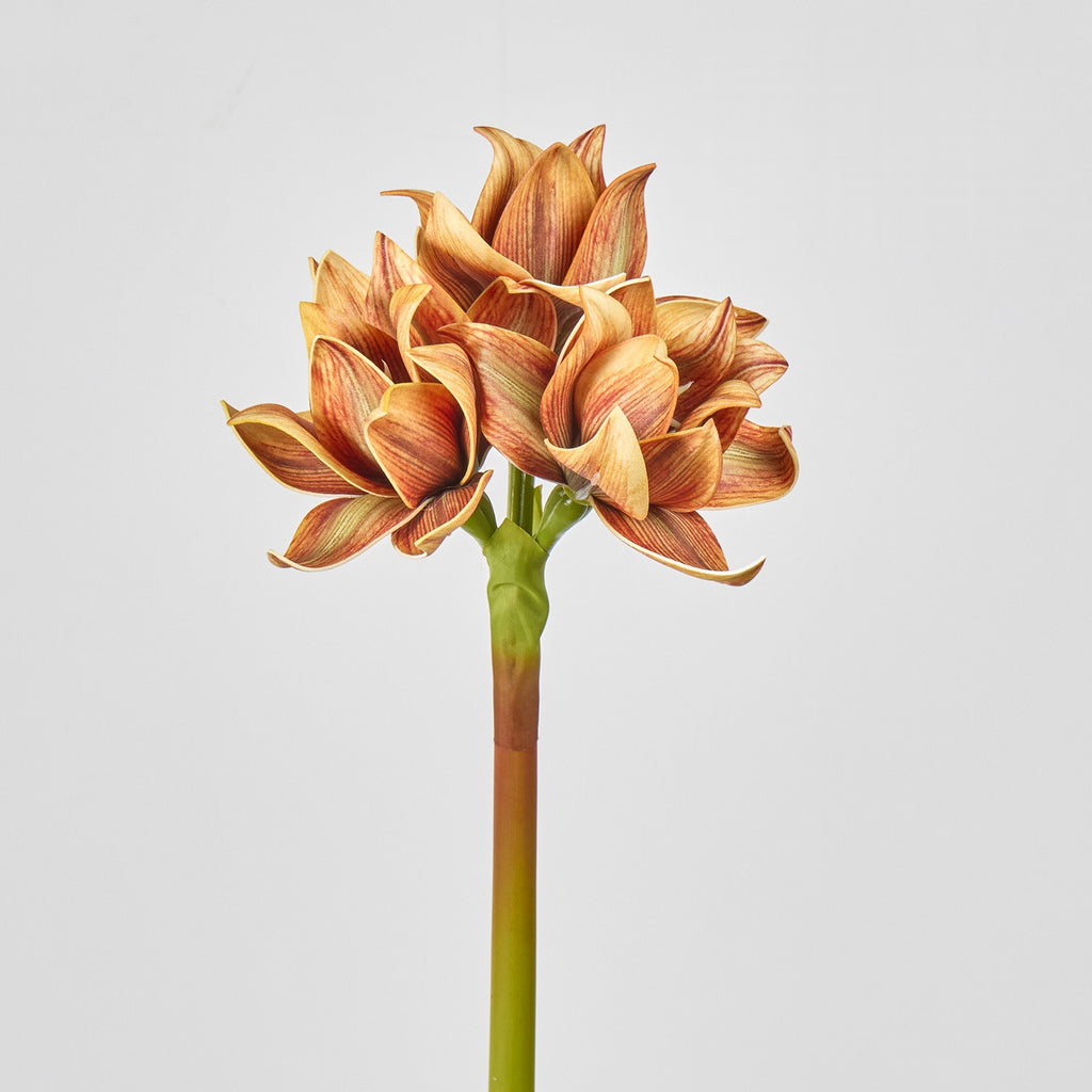 Fleur artificielle Clivia, décoration élégante pour intérieur, 3 fleurs, 56 cm