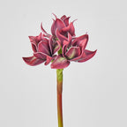 Fleur artificielle Clivia, décoration élégante pour intérieur, 3 fleurs, 56 cm