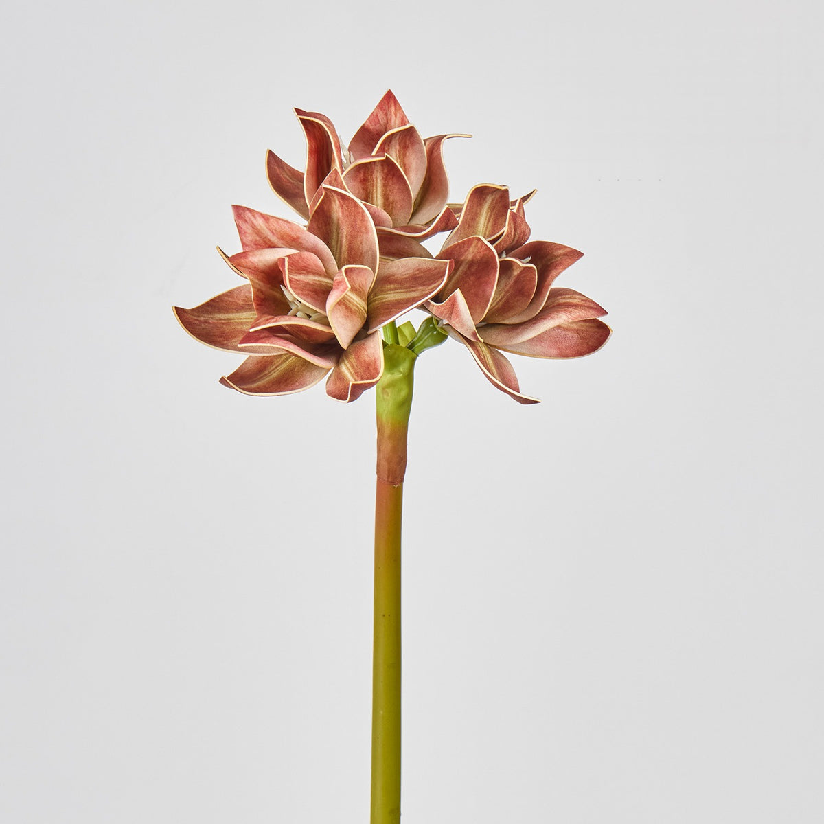 Fleur artificielle Clivia, décoration élégante pour intérieur, 3 fleurs, 56 cm