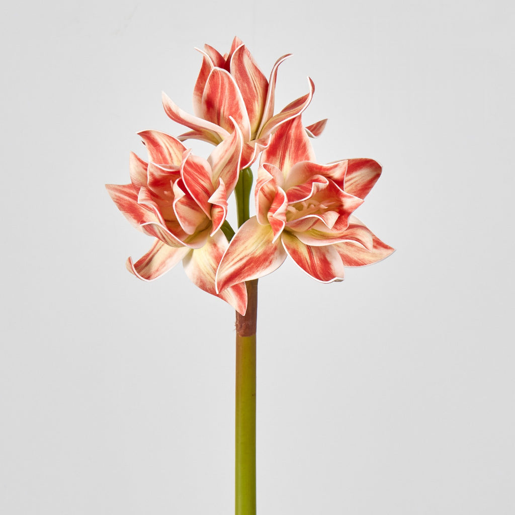 Fleur artificielle Clivia, décoration élégante pour intérieur, 3 fleurs, 56 cm