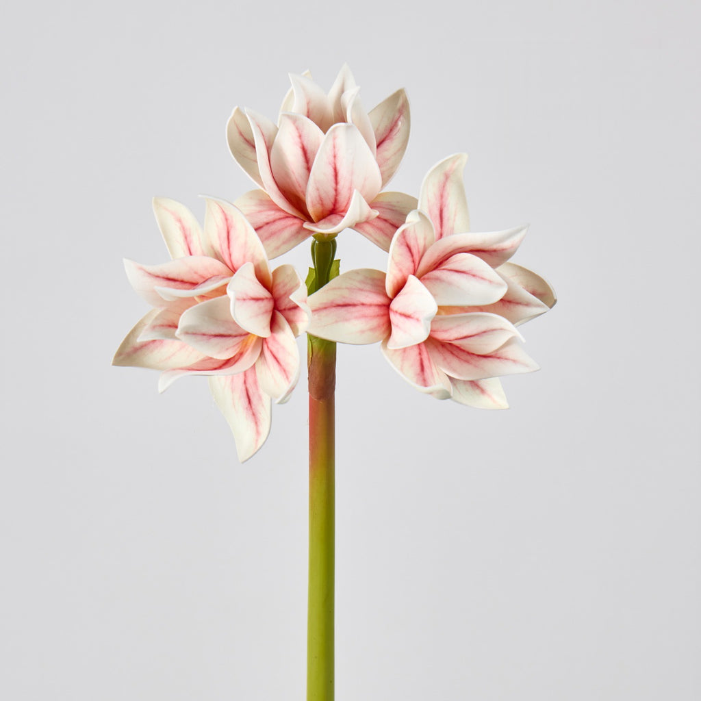Fleur artificielle Clivia, décoration élégante pour intérieur, 3 fleurs, 56 cm