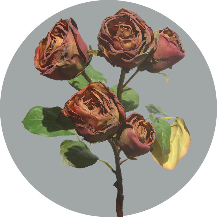 43 cm de roses artificielles à bordures desséchées avec tiges