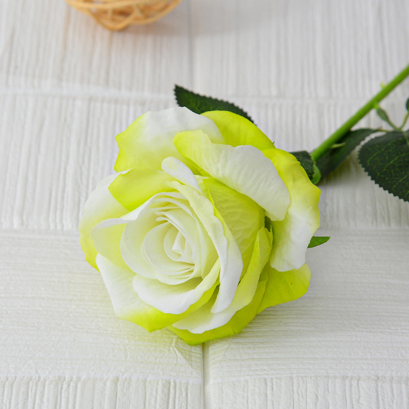 50 cm Roses Artificielles à Texture Réelle Fleurs Factices Douces comme le Velours avec Longues Tiges