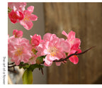 Fleur artificielle en soie synthétique, cerisier du Japon 'Sakura', tige unique avec 25 fleurs, 92 cm, décoration intérieure élégante