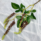 Plante Artificielle en Latex, Tige Unique avec 6 Fruits, 82 cm, Décoration Élégante pour Mariage, Maison ou Espace Commercial