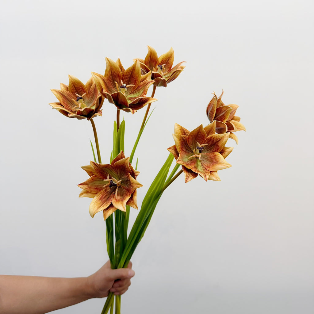 Tulipe Artificielle, Tige Unique de 69 cm, Décoration Élégante pour Maison, Mariage ou Espace Commercial