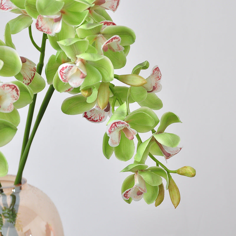 Orchidée papillon artificielle, tige unique avec 8 fleurs, 69 cm, décoration intérieure élégante