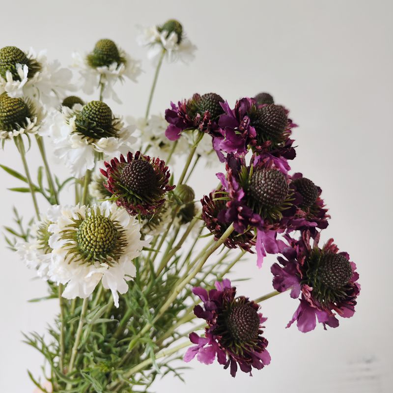 Fleurs artificielles en soie polyester, bouquet de marguerites et orchidées, 74 cm, décoration intérieure