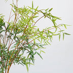 Fougère artificielle en plastique, tige unique de 120 cm, décoration intérieure, style naturel