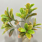 Plante Artificielle Croton, 64 cm, Décoration Intérieure et Extérieure, Style Nordique et Champêtre