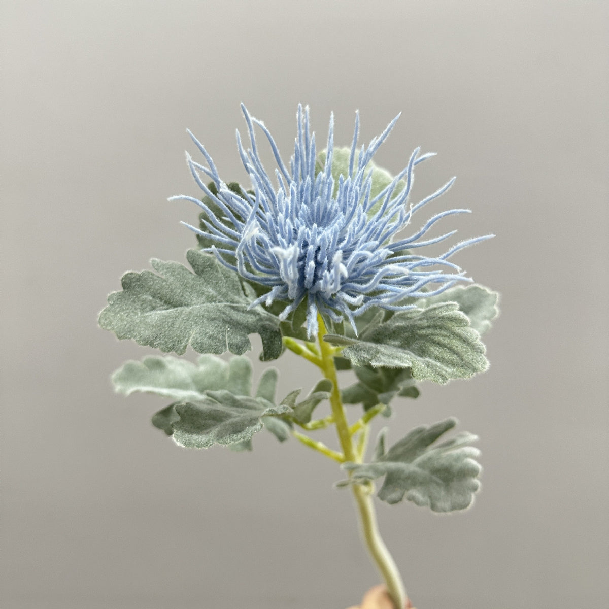 Tige unique d'Eryngium artificiel, 38 cm, en polyester soyeux, idéal pour mariages et décoration intérieure