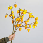 Tige unique de fruits décoratifs, 10 fruits miniatures, style champêtre, 66 cm, idéal pour décoration intérieure