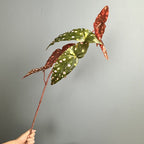Bouquet de bégonias artificiels, 71 cm, décoration élégante pour mariage, événements et intérieur