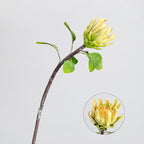 Fleur artificielle haut de gamme Protéa royale d'Afrique du Sud, tige unique de 63 cm, décoration intérieure et mariage